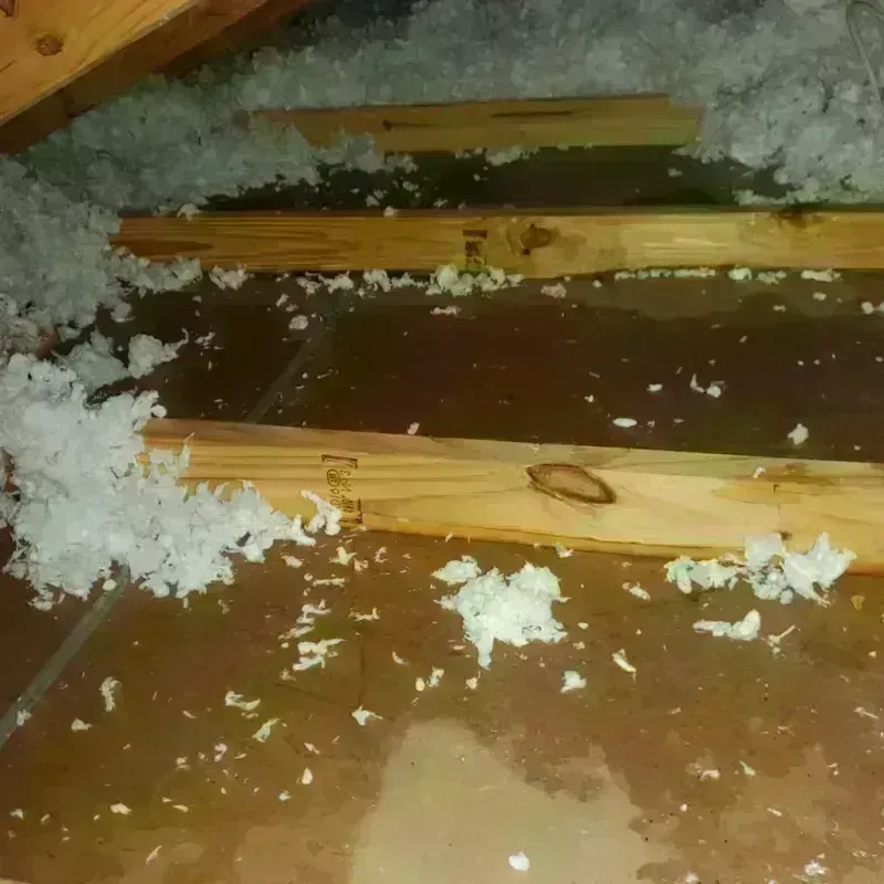 Attic Water Damage in Millersburg, OR