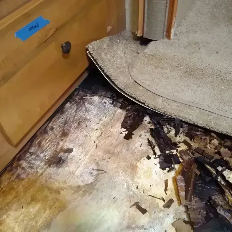 Best Wood Floor Water Damage Service in Millersburg, OR